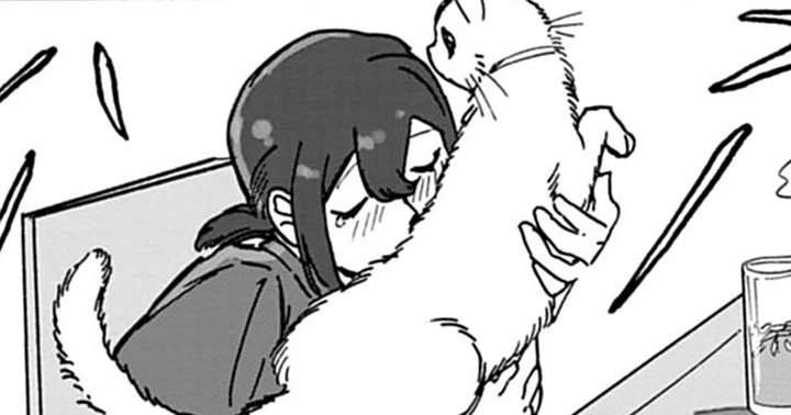你好!　猫猫留学生