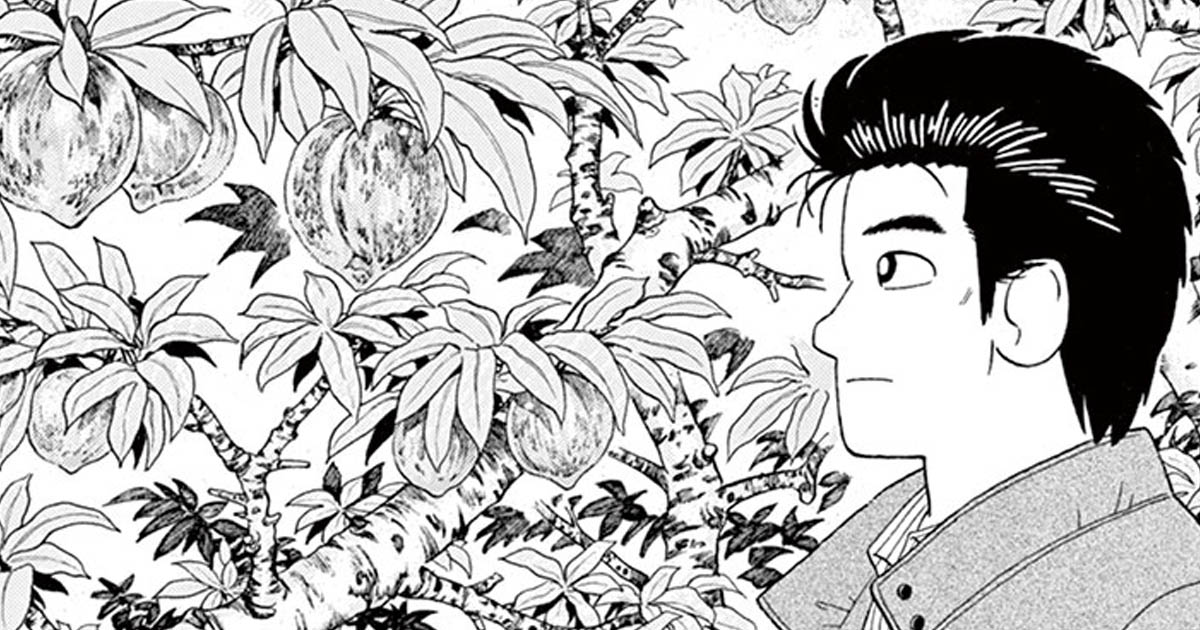 美味しんぼ 全111巻 完結セット 雁屋哲 Amazon.co.jp: 美味しんぼ