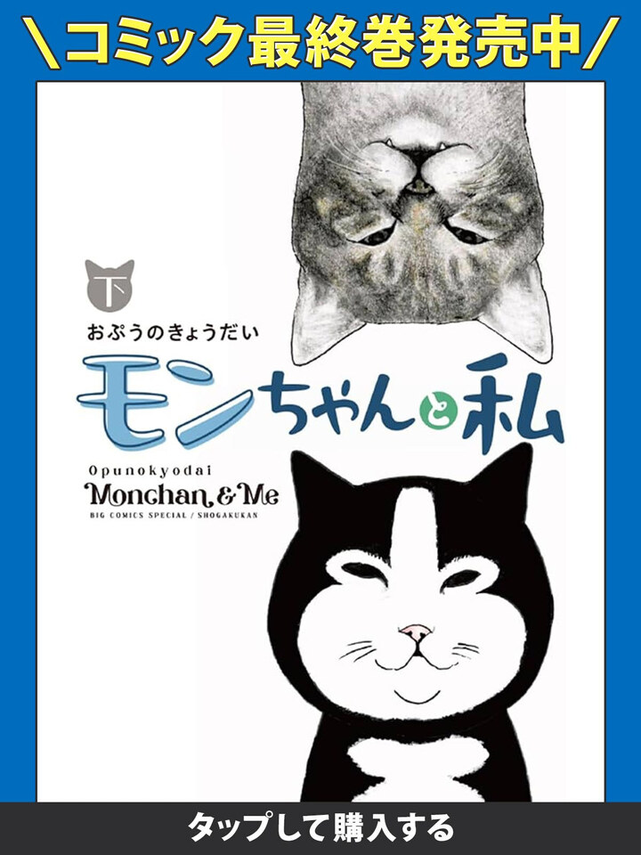 モンちゃんと私・第1話：河原の猫 | ビッコミ（ビッグコミックス） 