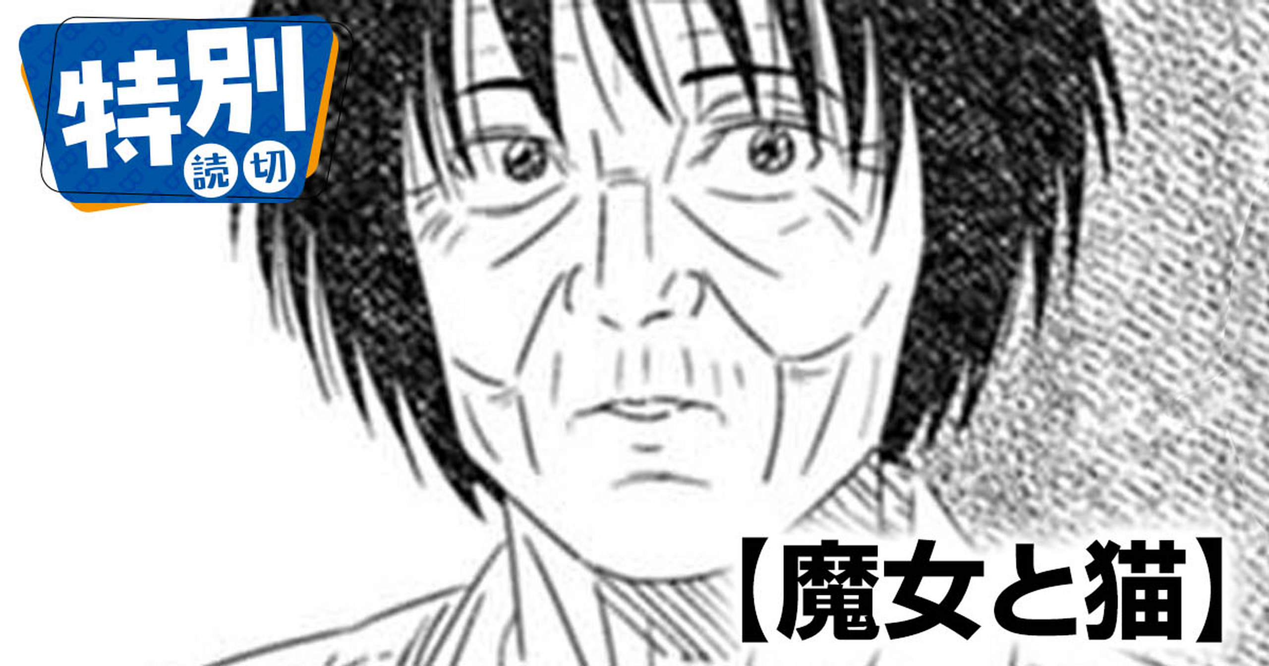 魔女と猫・魔女と猫 | ビッコミ（ビッグコミックス）