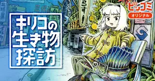 作品一覧 | ビッコミ（ビッグコミックス）