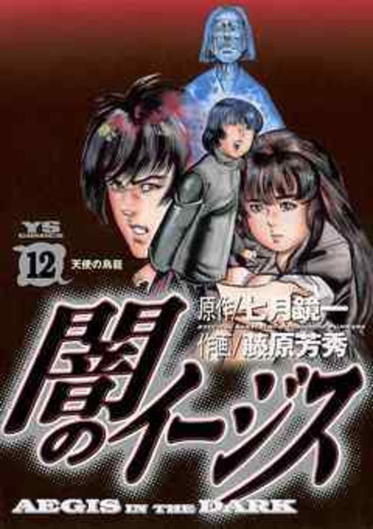 闇のイージス 12-1426244