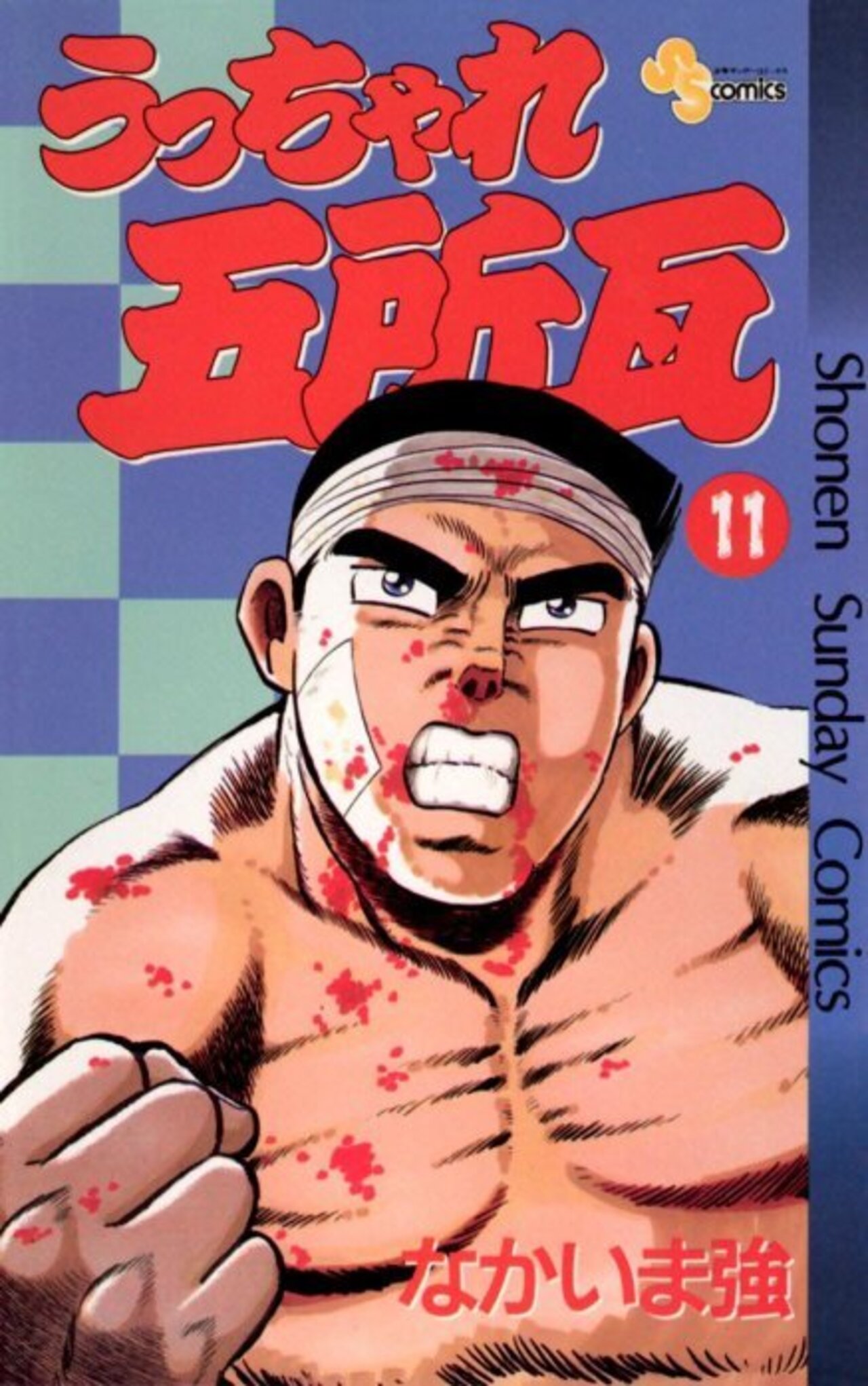 うっちゃれ五所瓦 11-961224