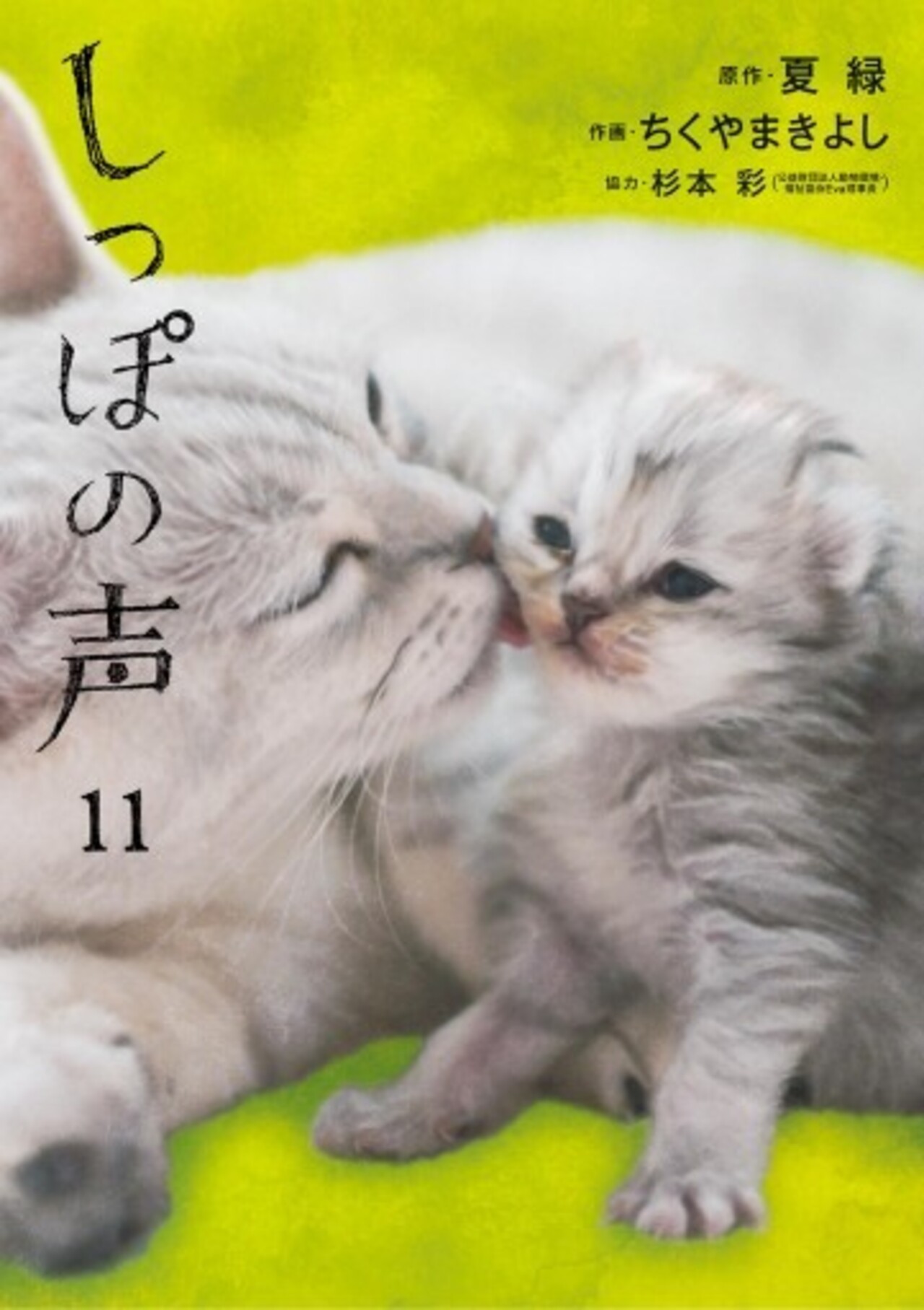 しっぽの声 11-1192118