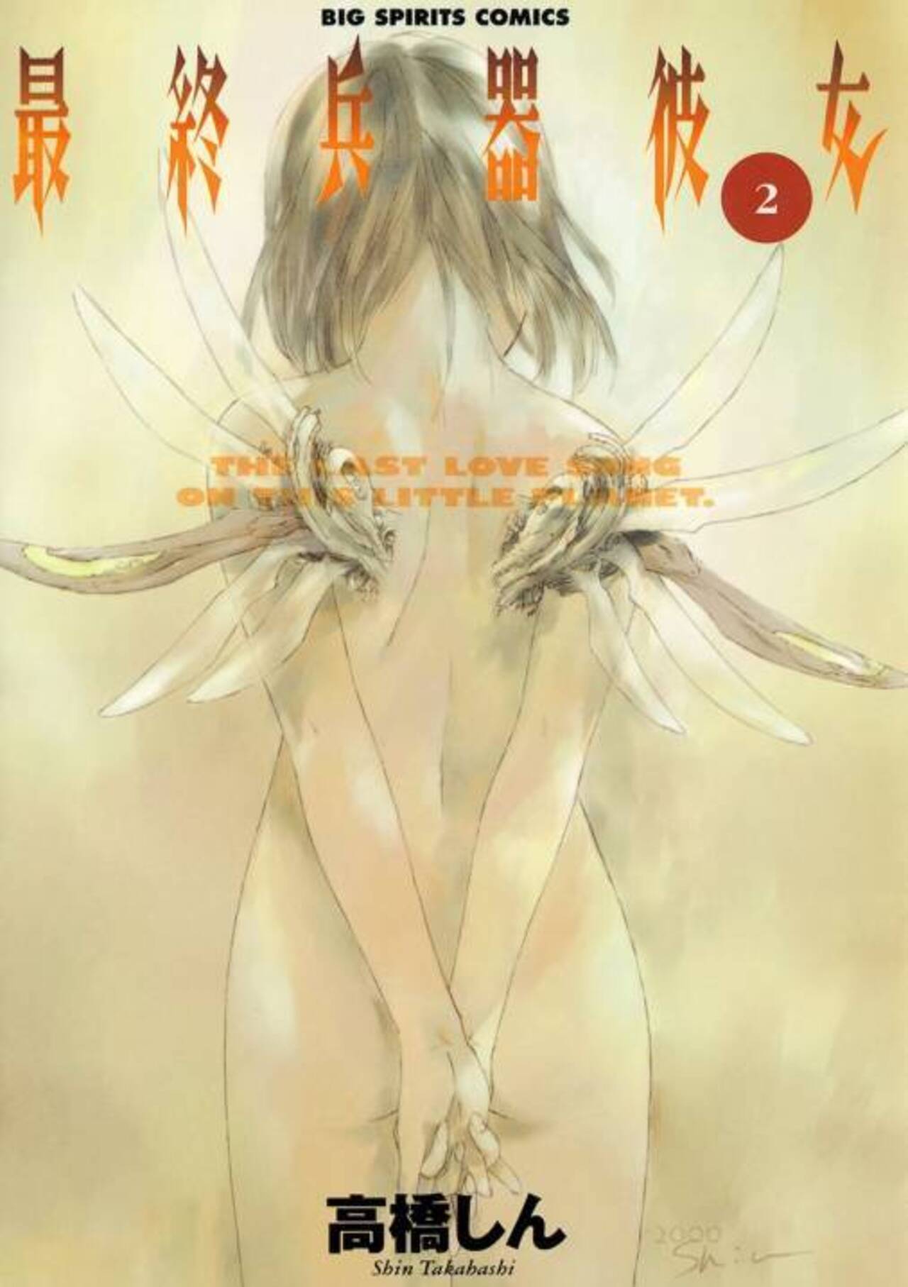 最終兵器彼女 2-1192378